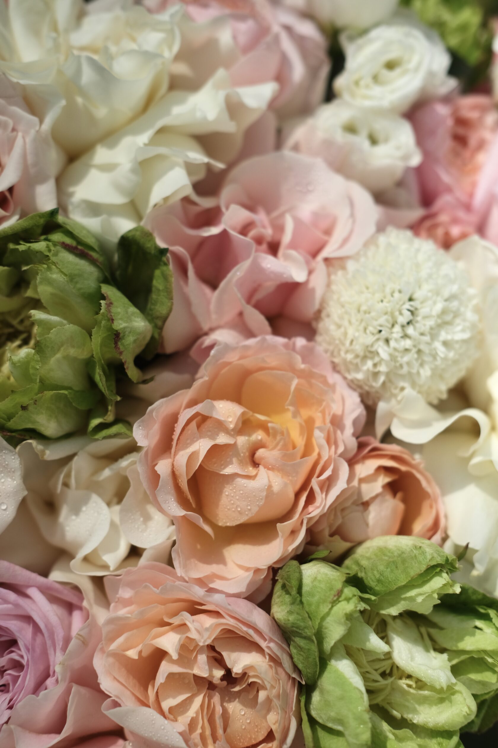 Garden Flowers background