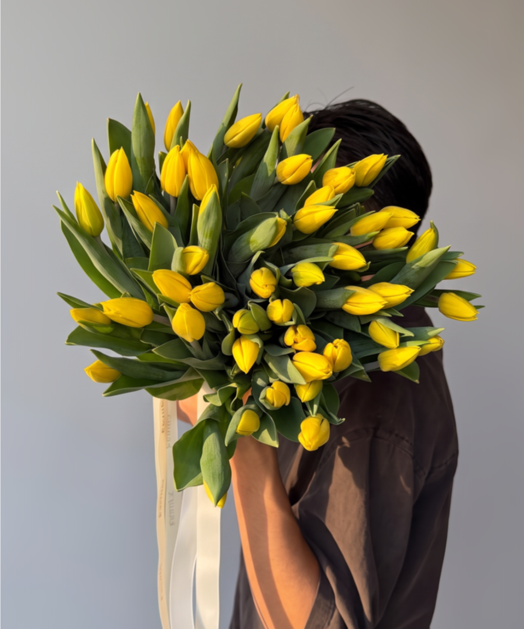 Yellow Classic Tulips