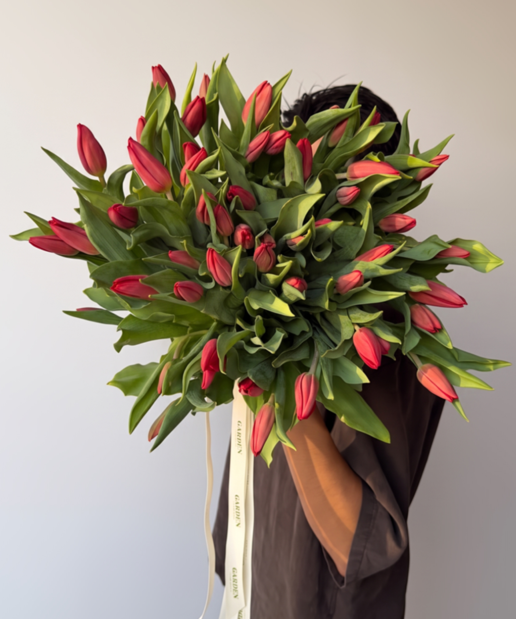Red Classic Tulips